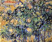 文森特 威廉 梵高 : 开花的灌木